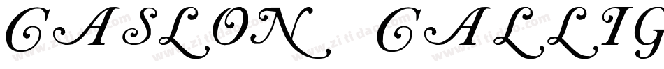 Caslon Calligraphic Initials字体转换